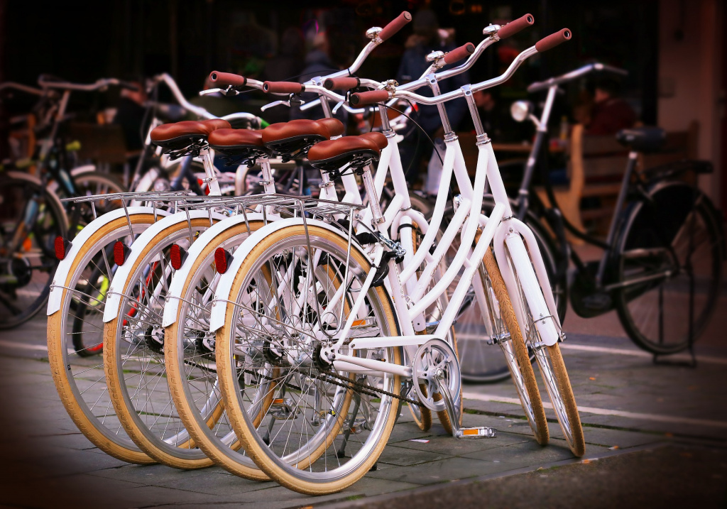 bicycles-737190_1920.jpg