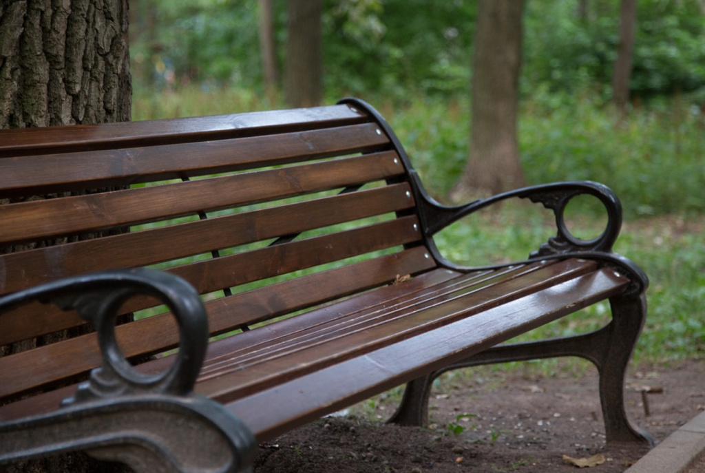 EB0A662B-C842-4165-B827-E7288CE1A2C4.jpeg EB0A662B-C842-4165-B827-E7288CE1A2C4.jpeg