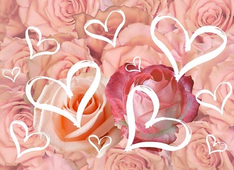 8BA4D4C0-3515-45A9-B431-4D395623B5C7.jpeg 8BA4D4C0-3515-45A9-B431-4D395623B5C7.jpeg