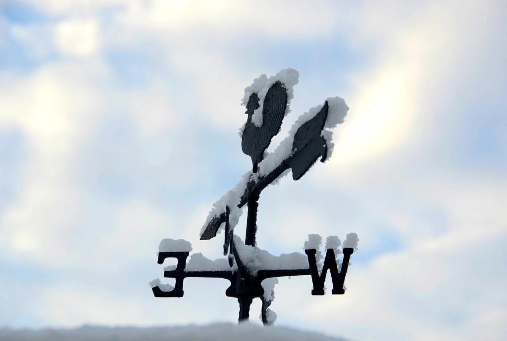 weather-vane-2577254_1920.jpg