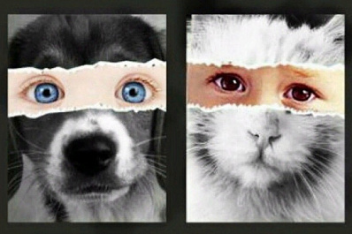 Выгнать ребёнка на улицу: зоозащитники запустили трогательную социальную рекламу