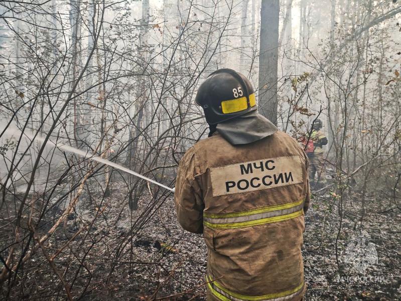 В Сызранском районе ввели режим ЧС из-за крупного пожара