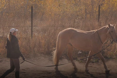 Самарский юрист Парабина переехала в село и создала конный клуб