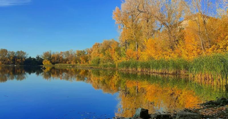 Активисты провели субботник на озере Духовом в Самарской области