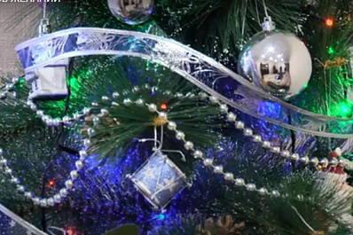 Сотрудники СУ СК РФ по Самарской области приняли участие в акции "Елка желаний"