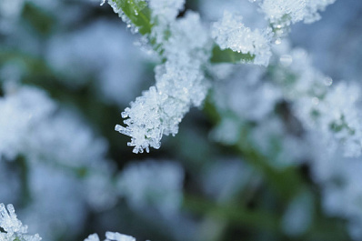 Заморозки до -2 °С придут в Самарскую область ночью 17 мая
