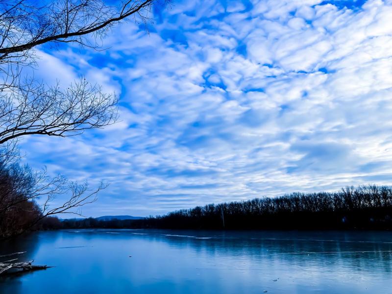 В Самарской области с 11 марта начался прием заявлений для охоты на дичь
