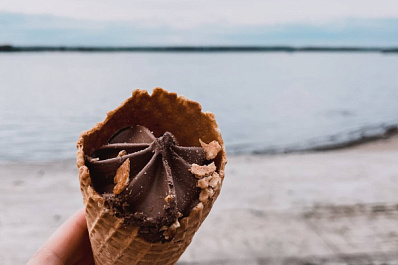 Кишечная палочка, дрожжи и плесень: что нашли в мороженом специалисты Роскачества