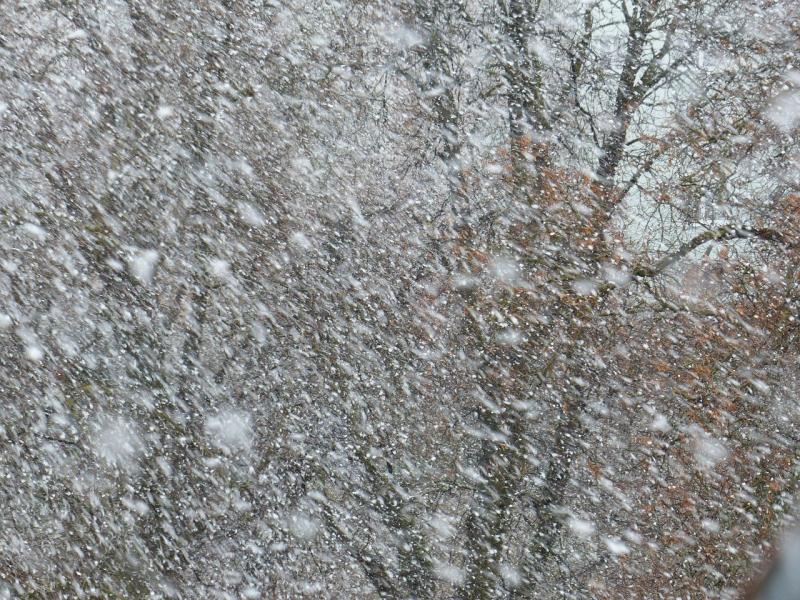 Метель, снегопад и дождь: синоптики рассказали о погоде в Самарской области 3 февраля