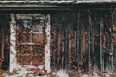 В Тольятти законсервировали дом Буянихи