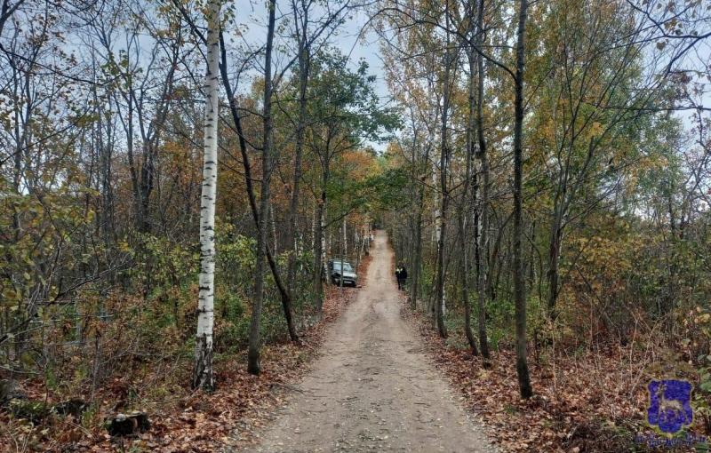 В нацпарке "Самарская Лука" 53-летняя женщина на Kia врезалась в дерево