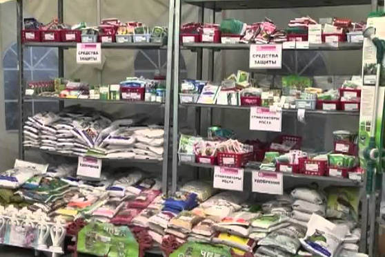 Дачные советы 09.08.2012