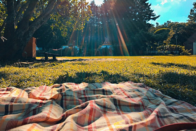 С заботой о природе: как безопасно отдохнуть на пикнике