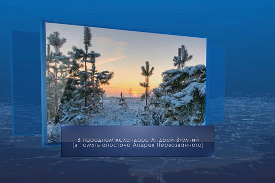 Андрей Зимний. Календарь губернии от 13 декабря