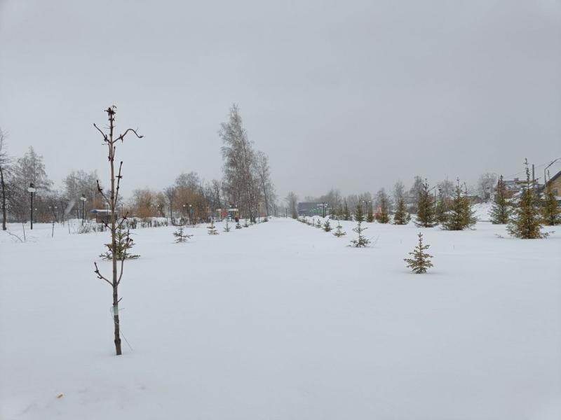 12 марта в Самарской области будет пасмурно