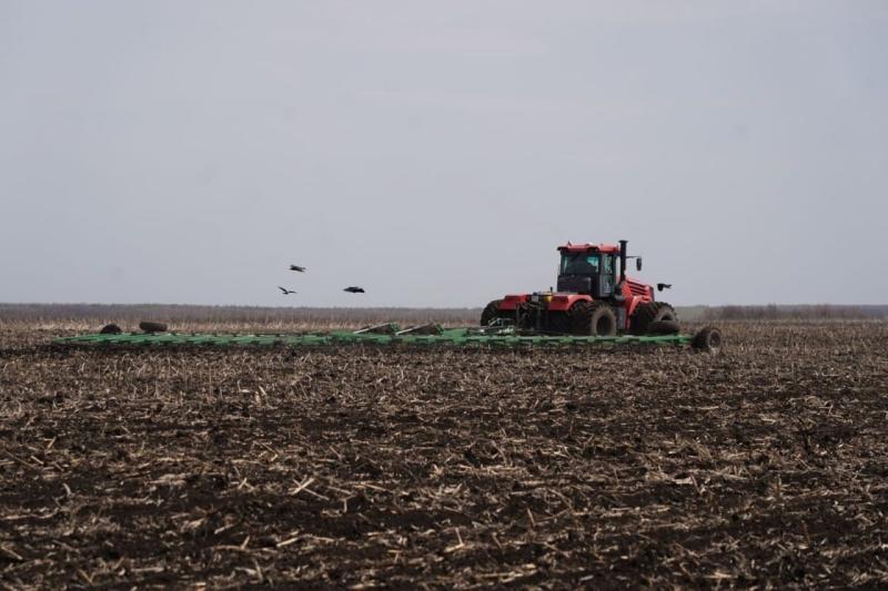 День поля в Самарской области: акцент на модернизацию и новые технологии в аграрном секторе