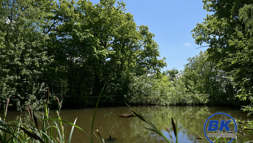 17 июня в истории и архиве "ВК"