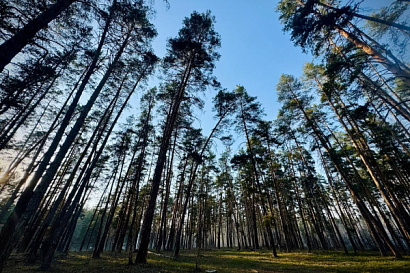 Название статьи