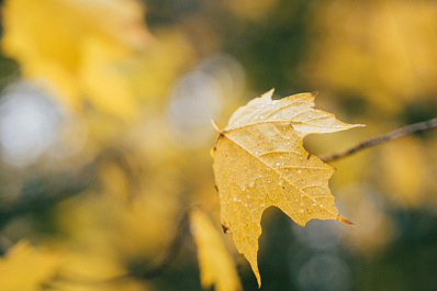 Погода на 16 сентября 2025 года: народные приметы и прогноз синоптиков 