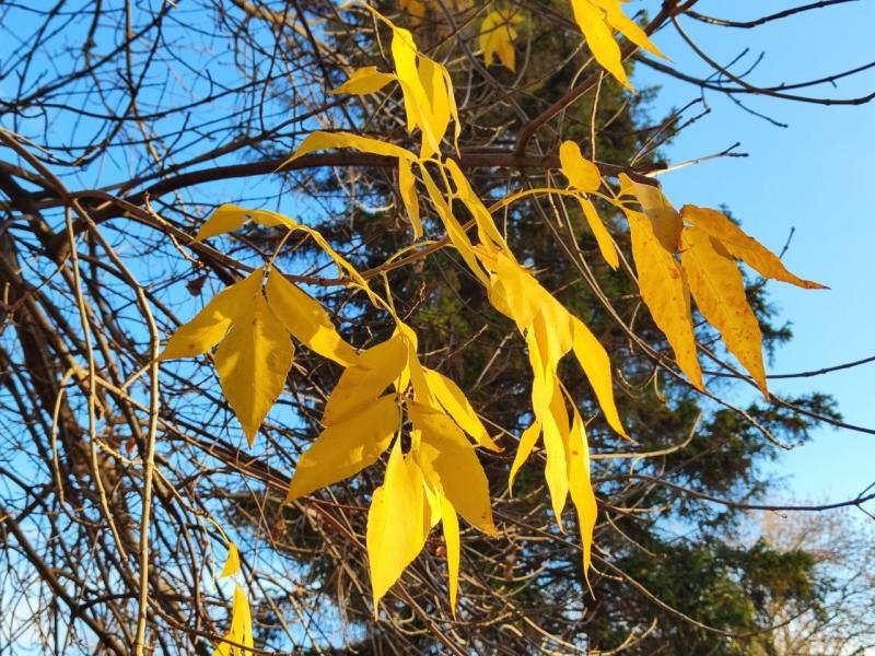 Синоптики рассказали, какая погода ожидается в ноябре в Самарской области 