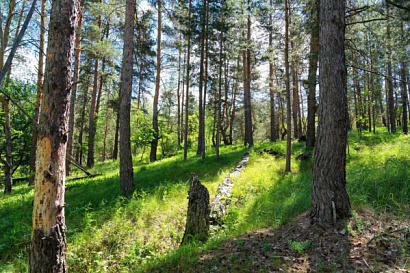 Название статьи