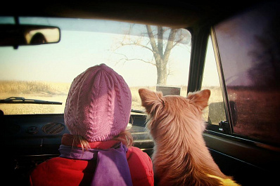 В Тольятти 7-летняя девочка выпала из машины на полном ходу