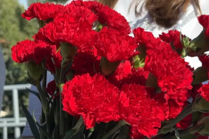 Название статьи