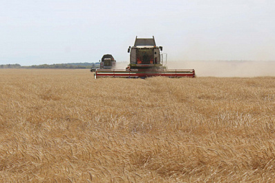 Наращивают мощности: аграрии Алексеевского района строят склады для хранения обильного урожая