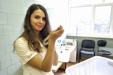 Как отличить ядовитую змею и что делать при укусе гадюки: ученый-герпетолог из Тольятти рассказала, как себя вести при встрече со змеей