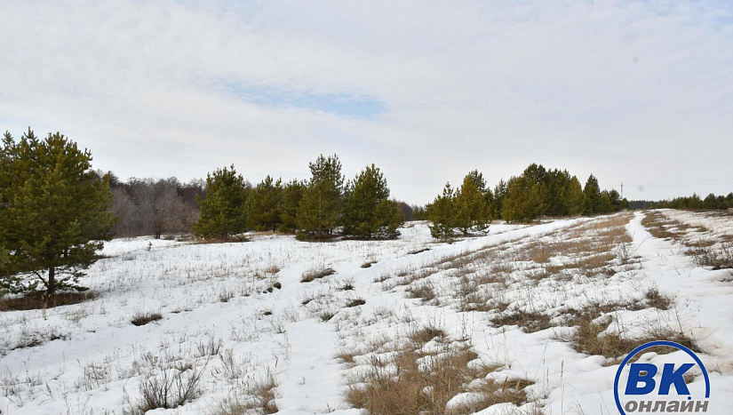 7-10 марта в истории и архиве "ВК"