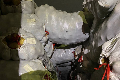 Самарские таможенники предотвратили незаконную поставку 80 тонн пшеницы и картошки