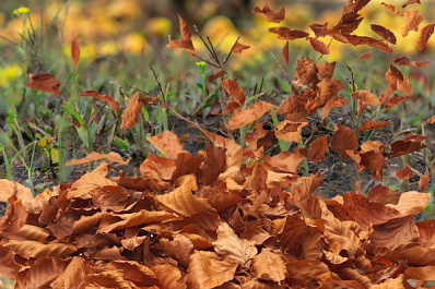 В Самарской области продлили экстренное предупреждение