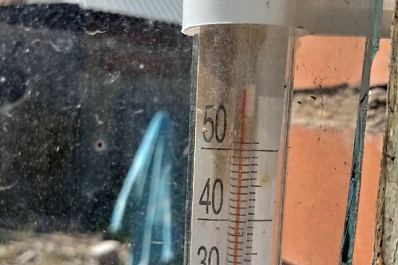 Не хватает шкалы термометров: жители Самарской области показали, как раскалился воздух в регионе