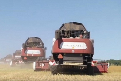 "Слишком хорошая погода": аграрии Кинель-Черкасского района ожидают рекордный урожай