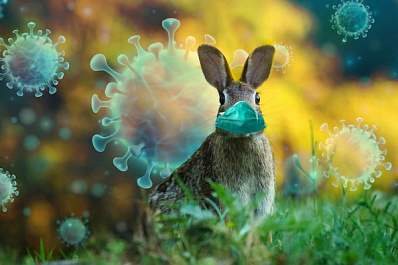 Где и как 121 житель Самарской области заболел коронавирусом 16 сентября