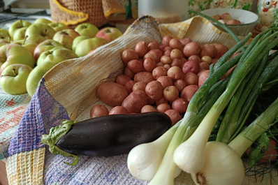 Эндокринолог назвал продукты для работоспособности мозга