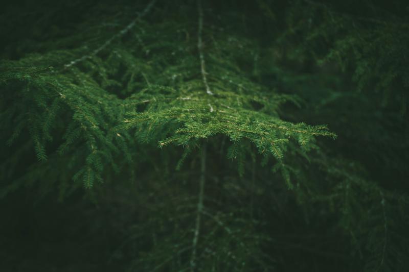 Погода на 28 сентября 2025 года: народные приметы и прогноз синоптиков