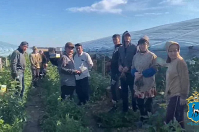 В Самарской области незаконные мигранты работали в теплице