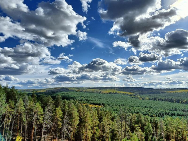 Жителей Самарской области ждут теплые и солнечные выходные 
