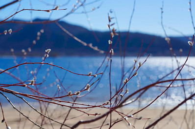 Народные приметы на 4 апреля 2025 года: что нельзя делать в этот день