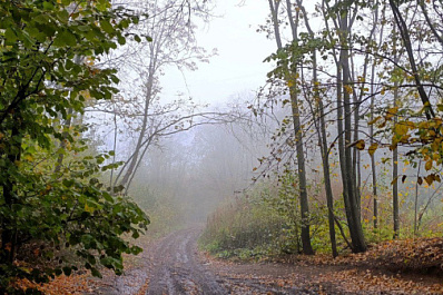 Самарскую область 1 декабря накроет туман