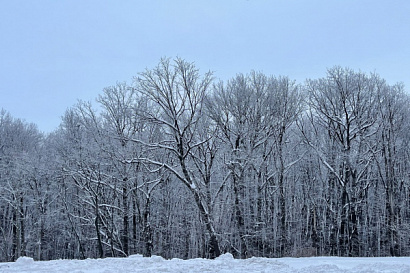 Название статьи