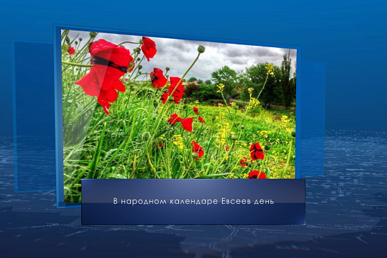 Евсеев день. Календарь губернии от 5 июля