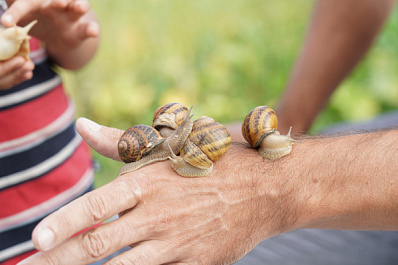 Читайте в свежем выпуске газеты "Волжская коммуна" 27 июля