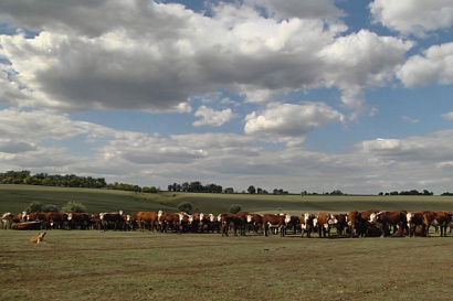 Название статьи