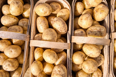 Экономист Даниил Цирулев рассказал об изменении цен на картофель