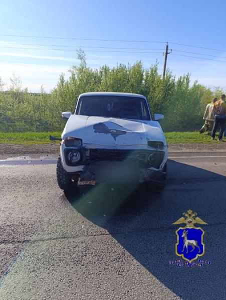 Стали известны подробности ДТП с "Грантой" и "Нивой" 7 мая в Самарской области 