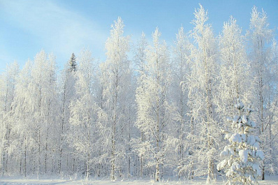 Морозы до -23 °С ударят в Самарской области в ближайшие дни