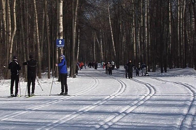Волжское и Красноглинское шоссе в Самаре перекроют на время проведения Лыжни России