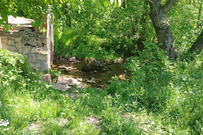 Название статьи